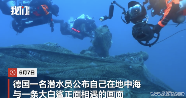 德国一潜水员在地中海拍到大白鲨 荒废画面具科学价值