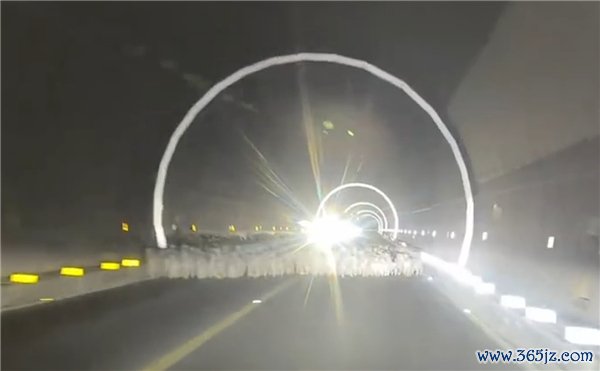 交警请问纯正撞倒29只羊负全责 牧说念通行公法需尊重