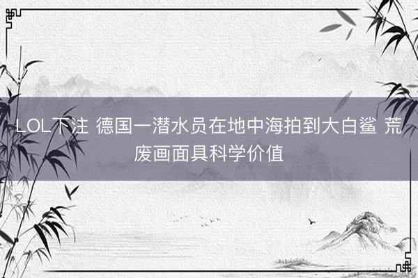 LOL下注 德国一潜水员在地中海拍到大白鲨 荒废画面具科学价值