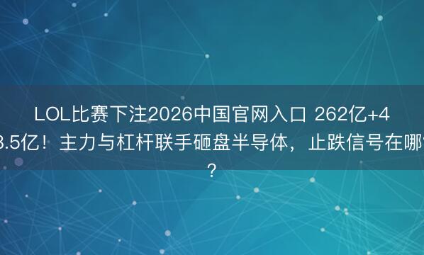 LOL比赛下注2026中国官网入口 262亿+48.5亿!主力与杠杆联手砸盘半导体,止跌信号在哪?