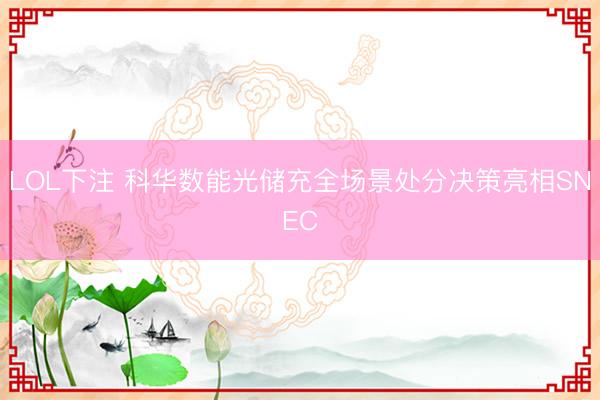 LOL下注 科华数能光储充全场景处分决策亮相SNEC