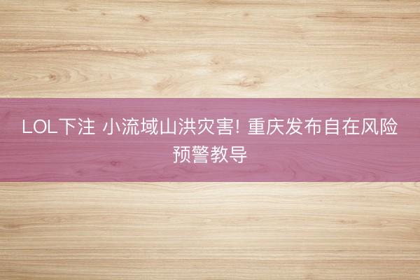 LOL下注 小流域山洪灾害! 重庆发布自在风险预警教导